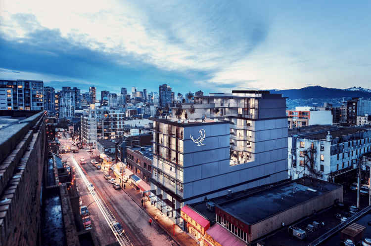 Sparrow in the Heart of Chinatown