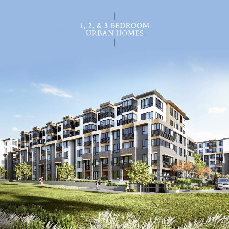 The News Urban Homes New Condo Building in Surrey