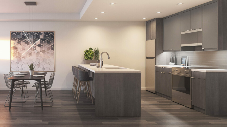 Rendering of Cameo Kitchen Hudson