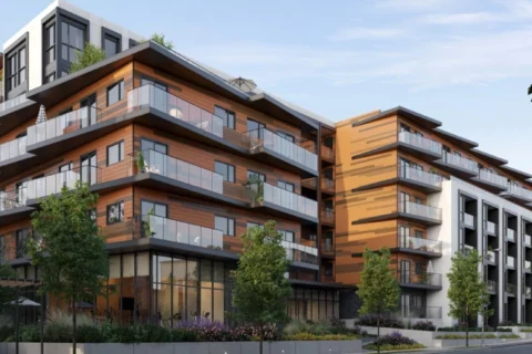 Azure Grove Langley By Ml Emporio Featured