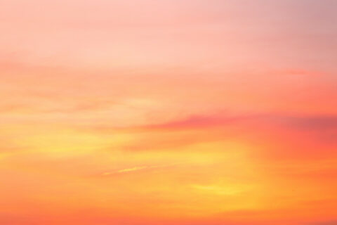 Abbey Heights Surrey Homes